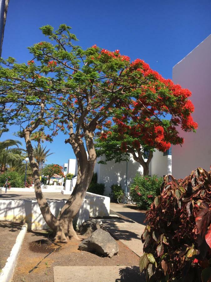 Апартаменти Los Barqueros Corralejo "Beach Front - Town Centre" Екстер'єр фото